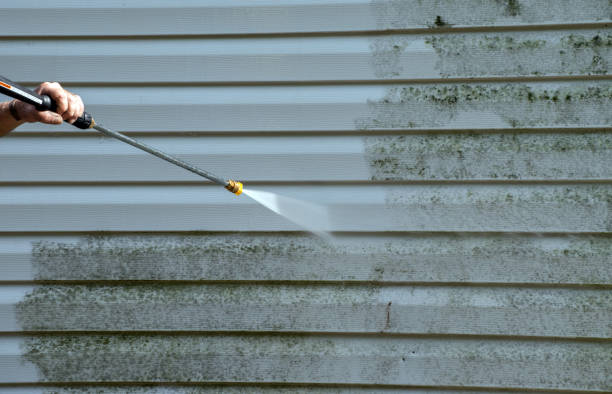 Best Pressure Washing Contractors  in Edgerton, MN