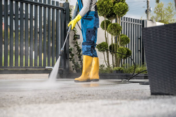 Best Roof Power Washing Services  in Edgerton, MN
